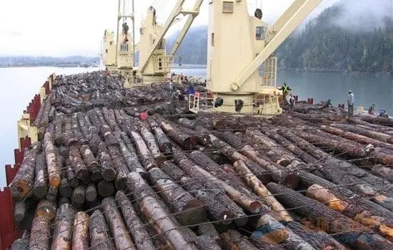 木材进口清关操作流程和注意事项