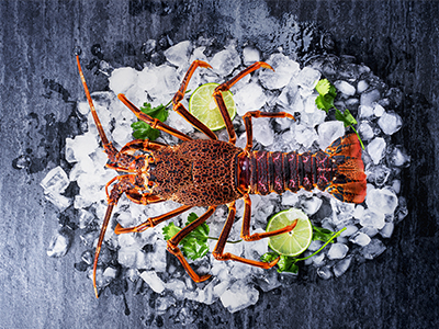 冷冻海产品进口清关