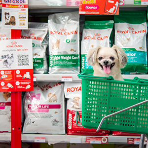 宠物食品进口代理清关