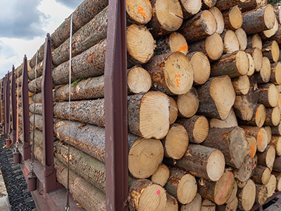 木制品进口清关